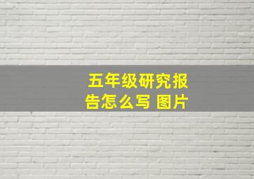 五年级研究报告怎么写 图片